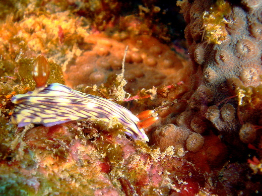 b0236647_13046100.jpg