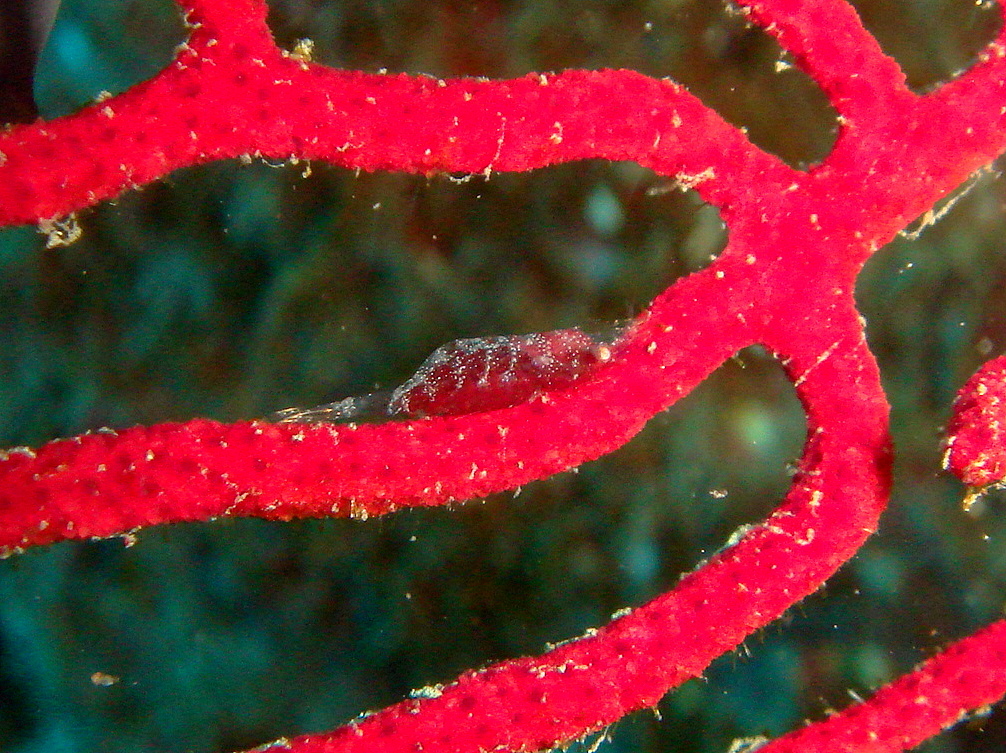 b0236647_13112353.jpg