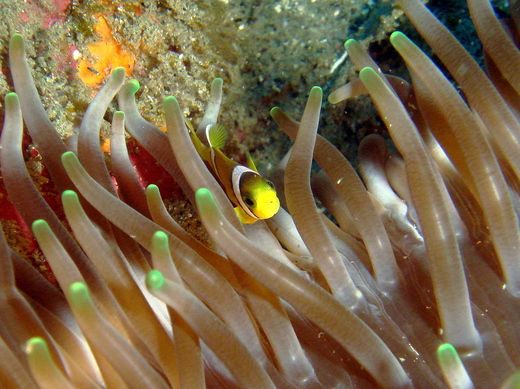 b0236647_1314673.jpg
