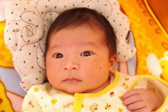 a0299749_2251577.jpg
