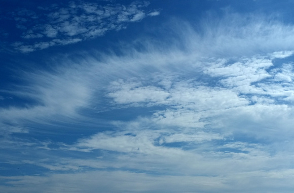 a0166150_1156461.jpg