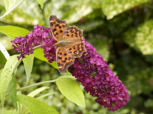 e0288951_16112572.jpg