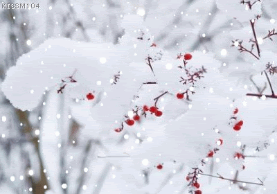 b0133752_16492394.gif