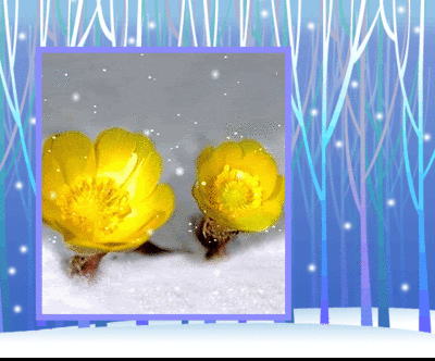 b0133752_2373118.gif