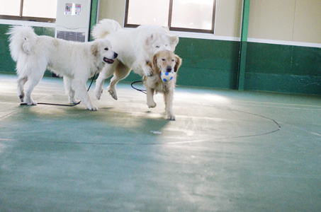 f0044853_22174121.jpg