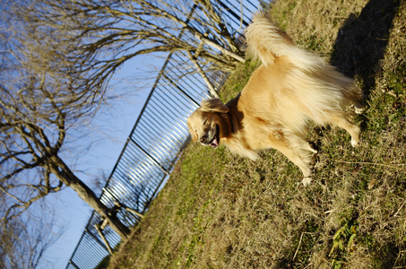 f0044853_23101272.jpg