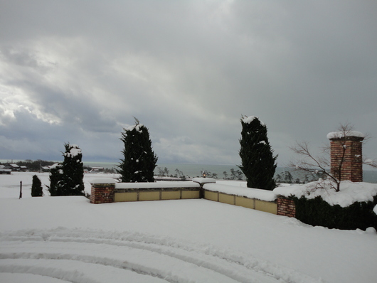 a0313956_15512381.jpg
