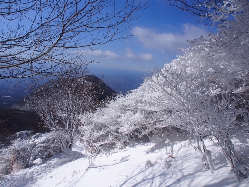 b0335256_13343447.jpg