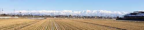 e0082956_5361166.jpg