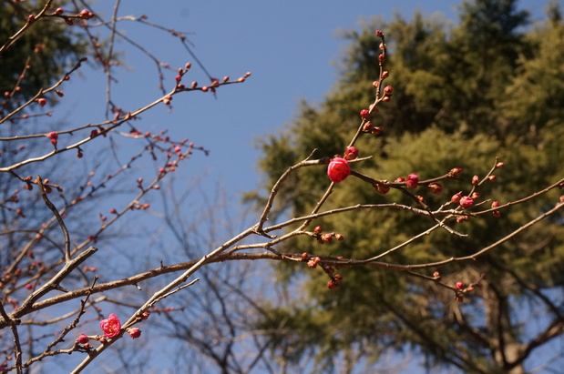f0257756_015586.jpg