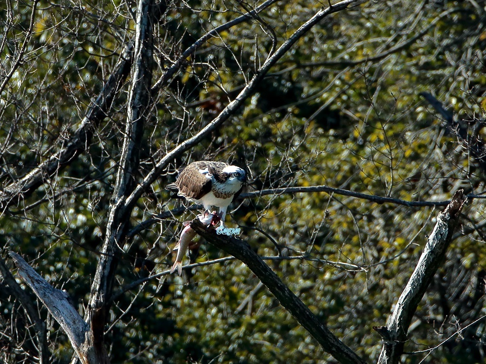 a0330864_14104205.jpg