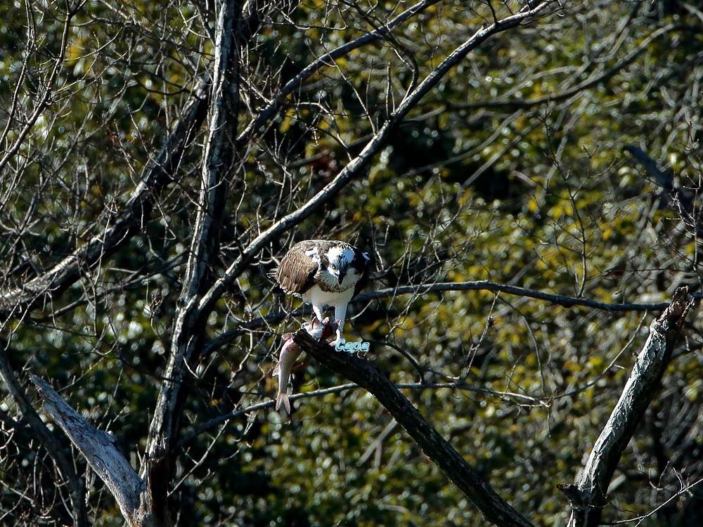a0330864_14105787.jpg