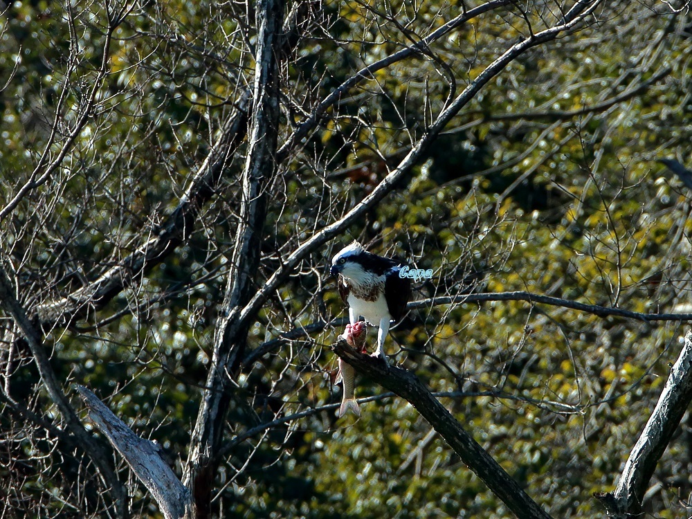 a0330864_14110512.jpg