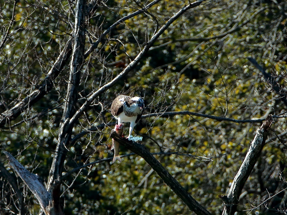 a0330864_14112107.jpg