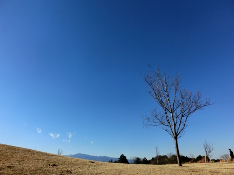 e0045768_2211850.jpg