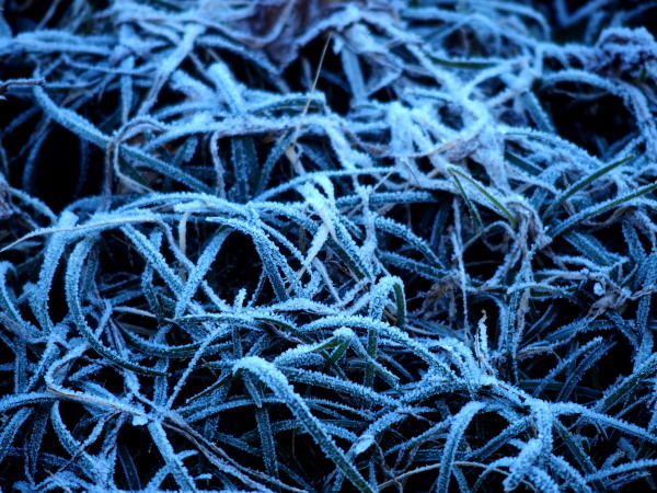c0122670_01341343.jpg