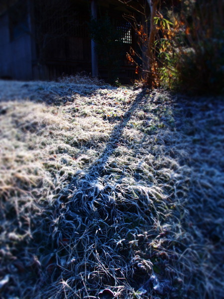 c0122670_01341368.jpg