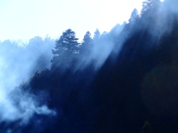c0122670_01442062.jpg
