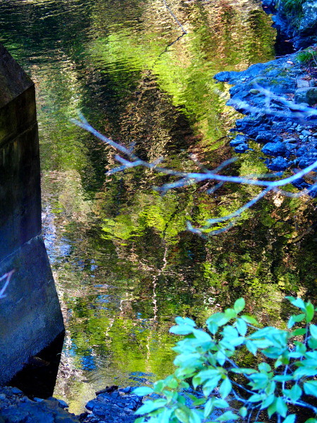 c0122670_01530558.jpg