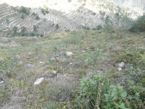 e0155370_13422219.jpg