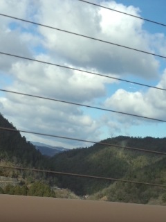 f0112873_052080.jpg
