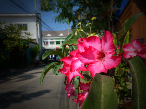 a0002177_17344161.jpg