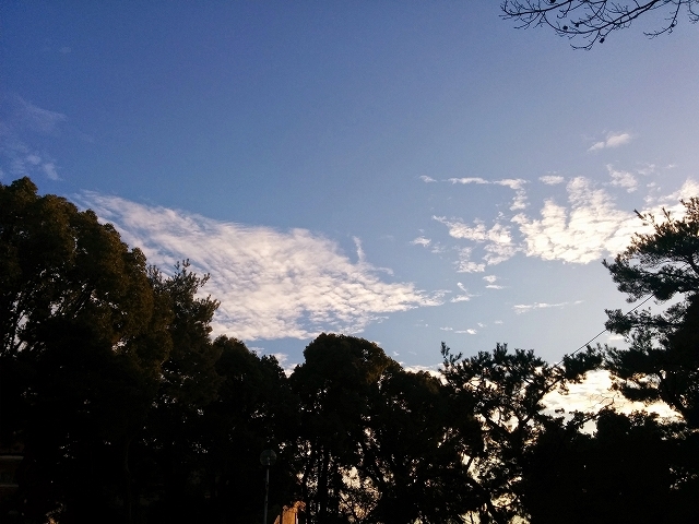 b0010882_05180873.jpg