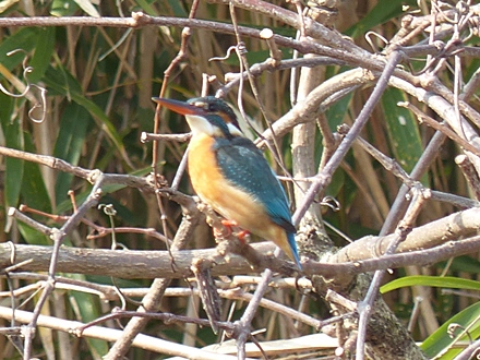f0357487_21253648.jpg