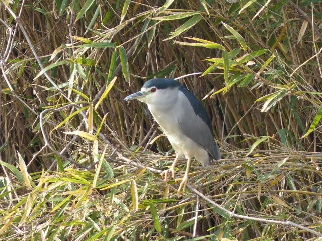 f0357487_21263432.jpg