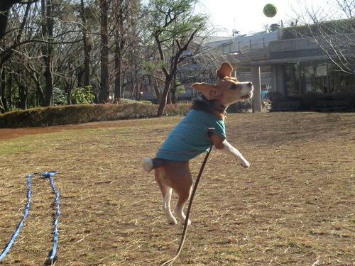a0319693_1518632.jpg