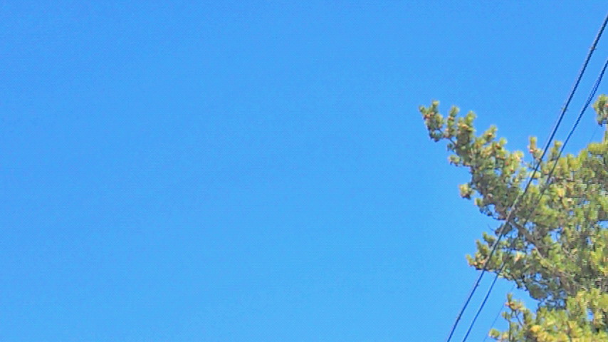 d0149105_1232944.jpg