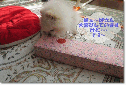 b0167519_21441182.gif