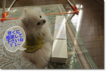 b0167519_21503567.gif