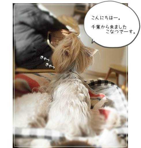 d0179828_09072013.png