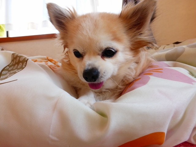 b0138430_11411159.jpg