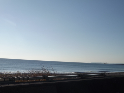 f0248337_8545054.jpg