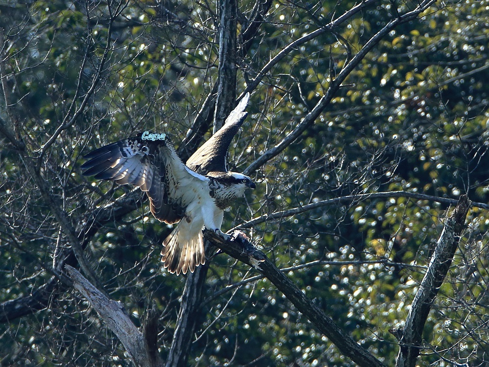 a0330864_16202252.jpg
