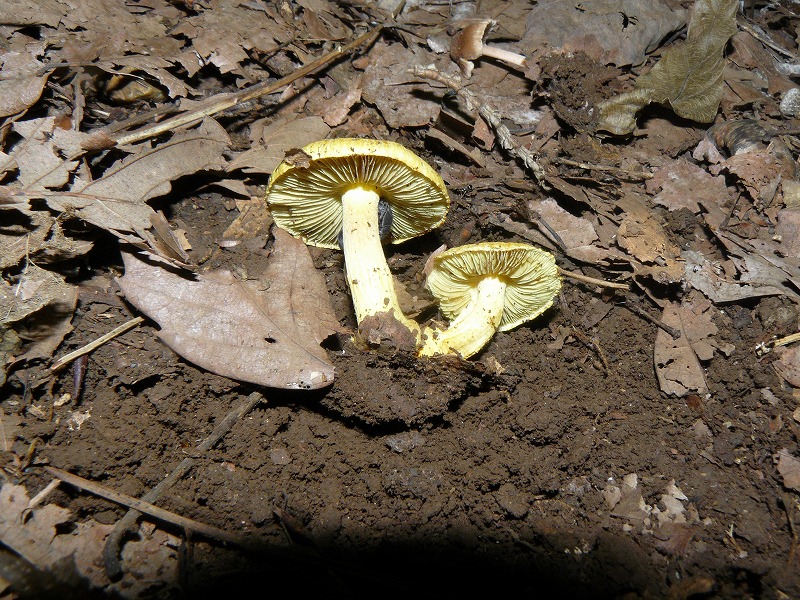 d0019074_1004351.jpg