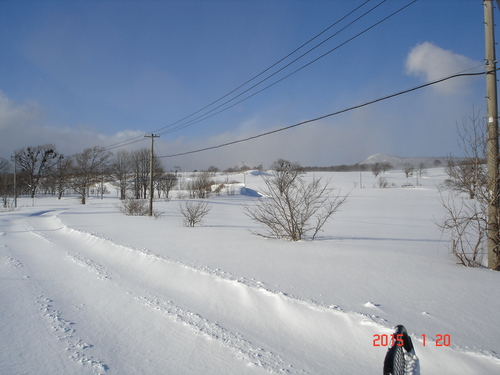 d0165378_1632474.jpg