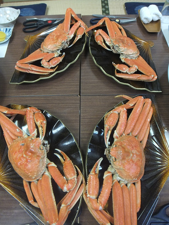 f0238779_1756577.jpg