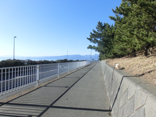 e0123587_21141129.jpg