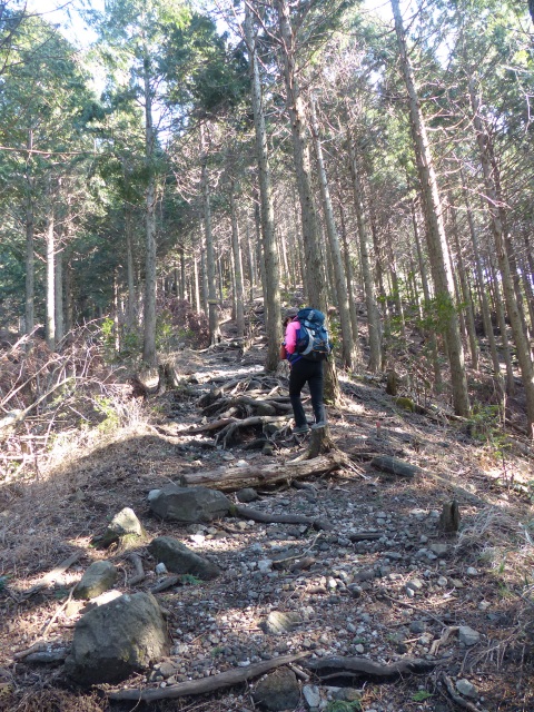 f0357487_2136015.jpg