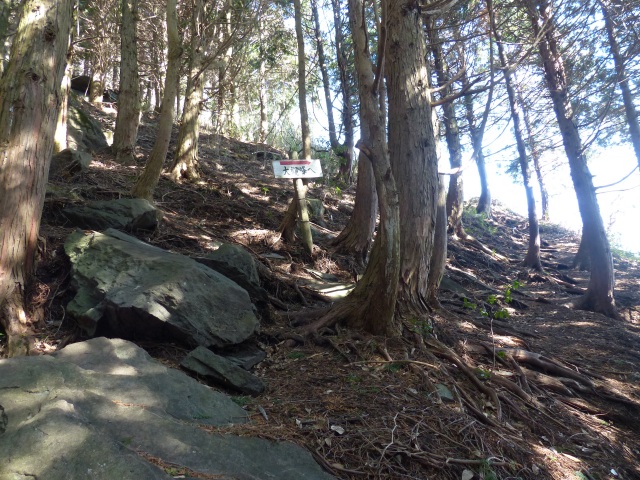 f0357487_21402596.jpg