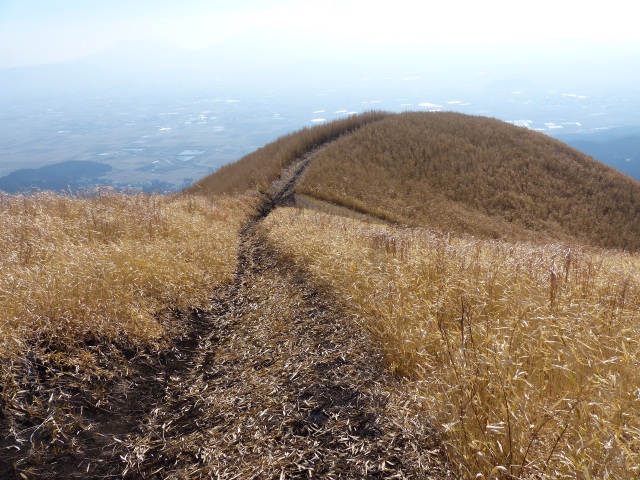 f0357487_21541832.jpg