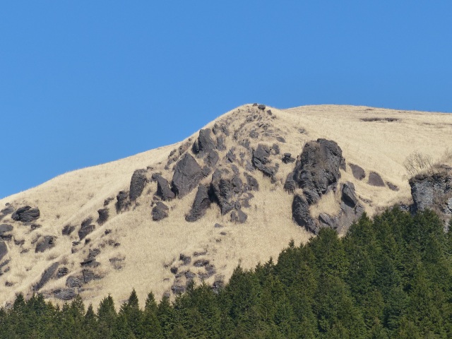 f0357487_2202281.jpg