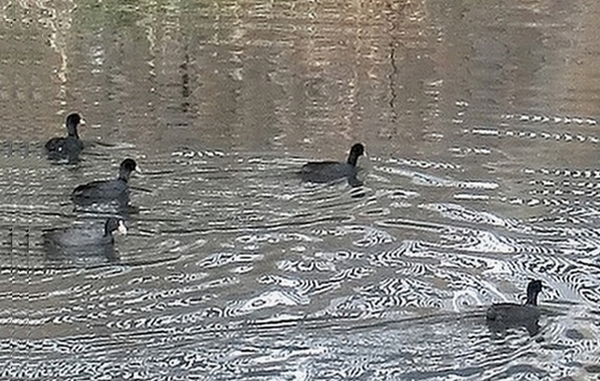 e0143690_1111935.jpg