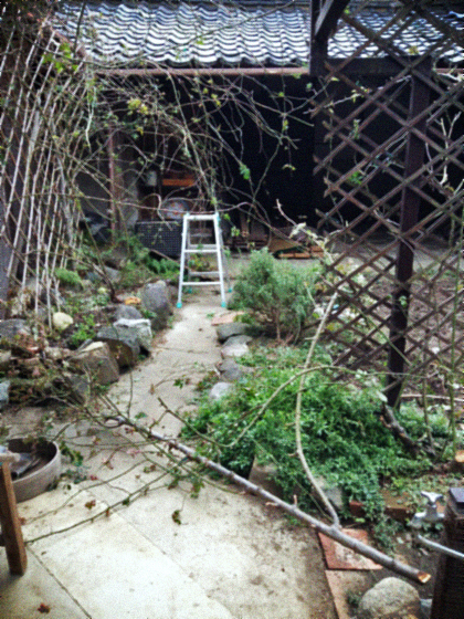 d0077603_18102398.jpg