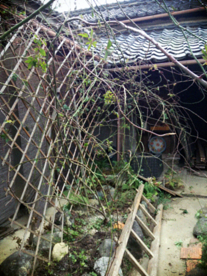 d0077603_1872557.jpg