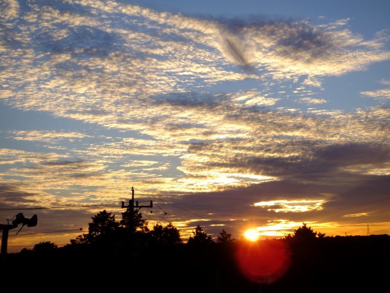 a0188405_00142262.jpg