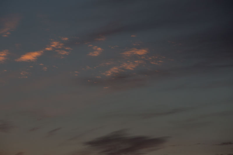 a0278914_17453444.jpg